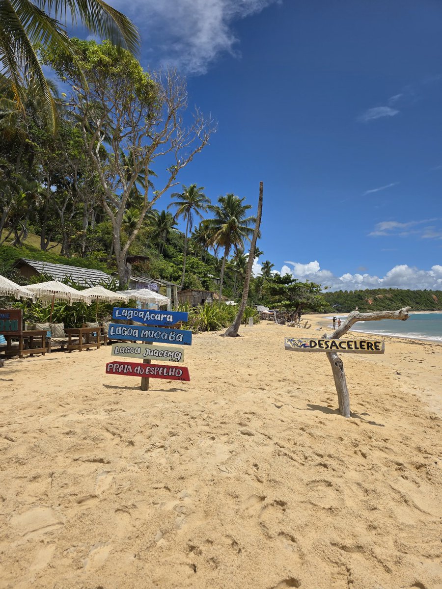 Vinícius Santos tweet media