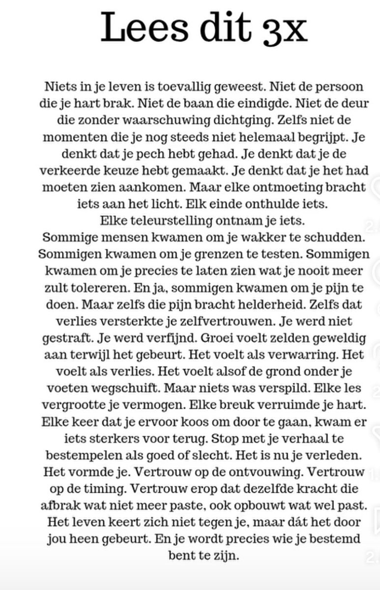 Caroline 🐩💙 tweet media