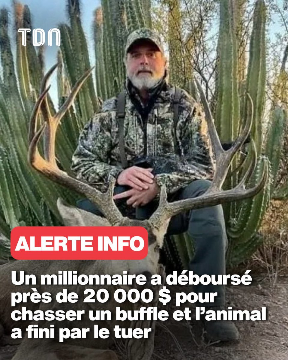 AntiChasse ⒶⓁⒻ tweet media