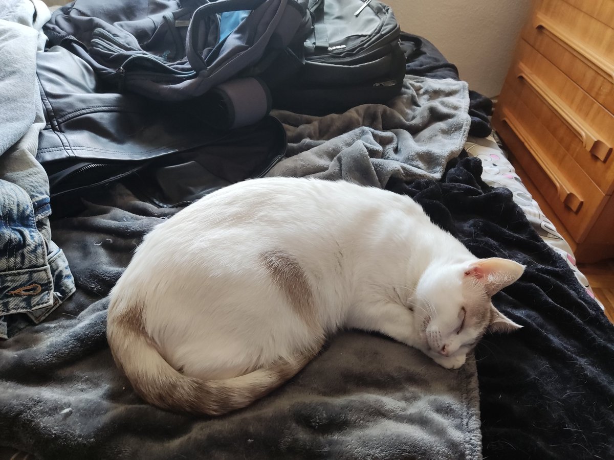 No posteo mucho por aquí pero puede que poco a poco vuelva a estar más activa al menos para responder e interactuar! Me gustaría poder hacer más amistades en Madrid :)
Hago jueguitos y juego videojuegos, me gusta el rol, soy trans 🏳️‍⚧️ y estos son los admins de la cuenta