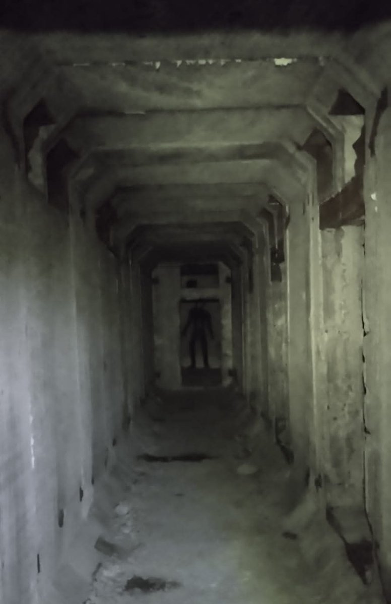 pavelsh 🇱🇻 tweet media