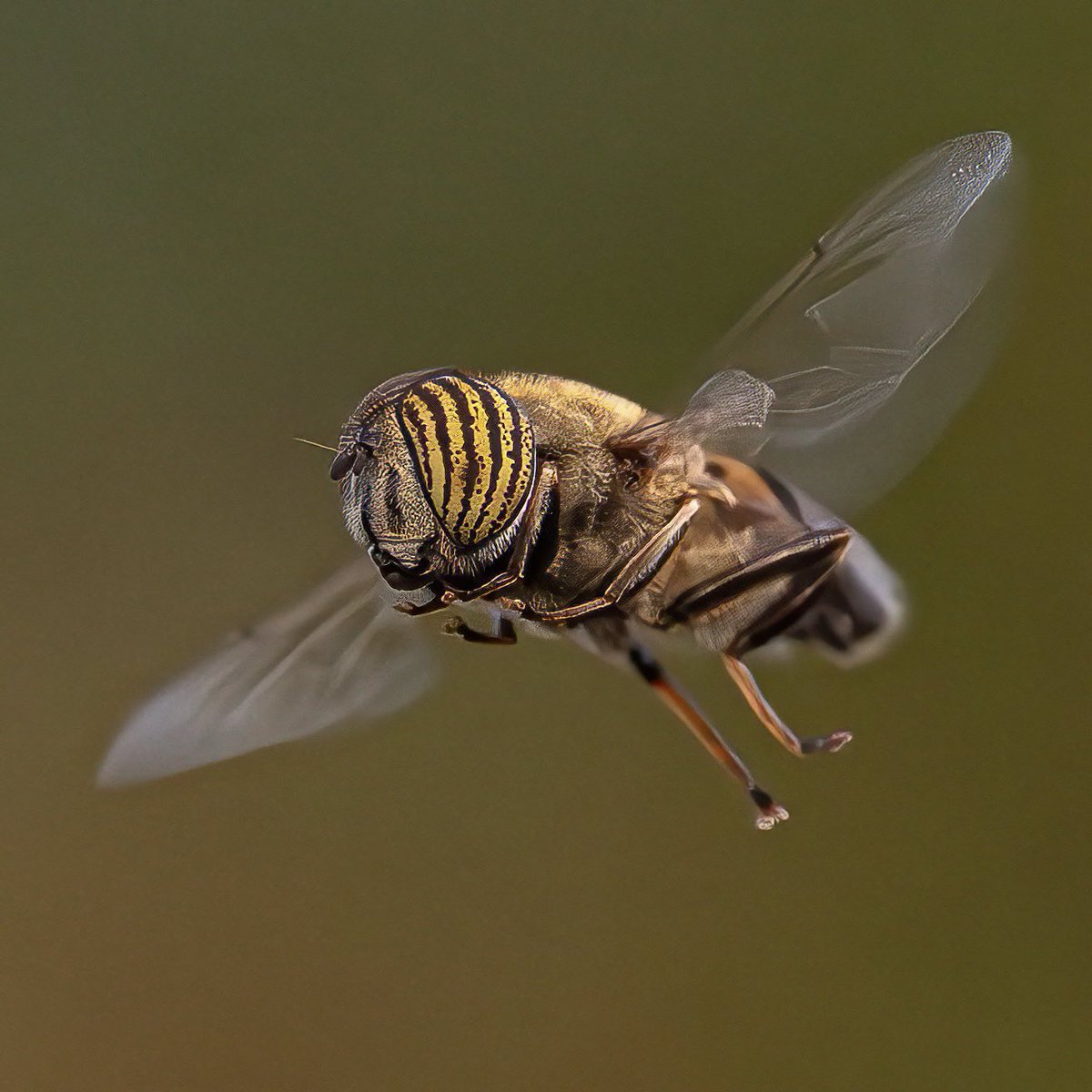 Paul Wright 🇬🇧🇯🇲🇸🇰 tweet media