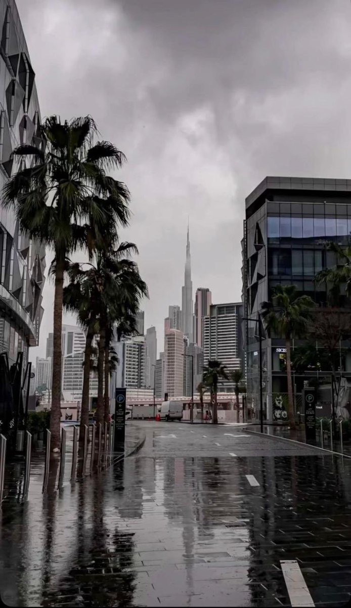 علي العامري tweet media