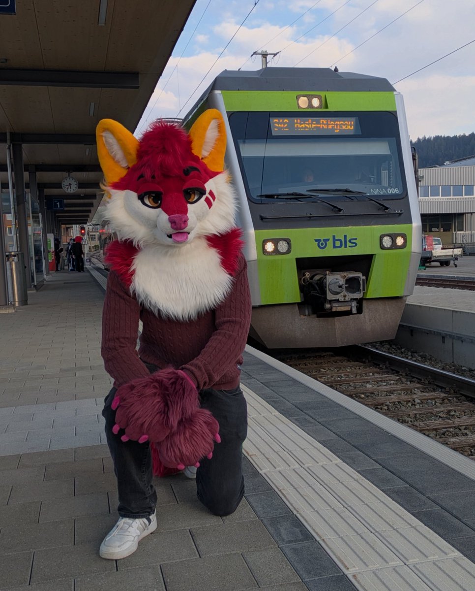 Lolef 🇨🇭🔜 Awoostria tweet media