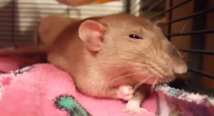 mel ᵎᵎ tweet media