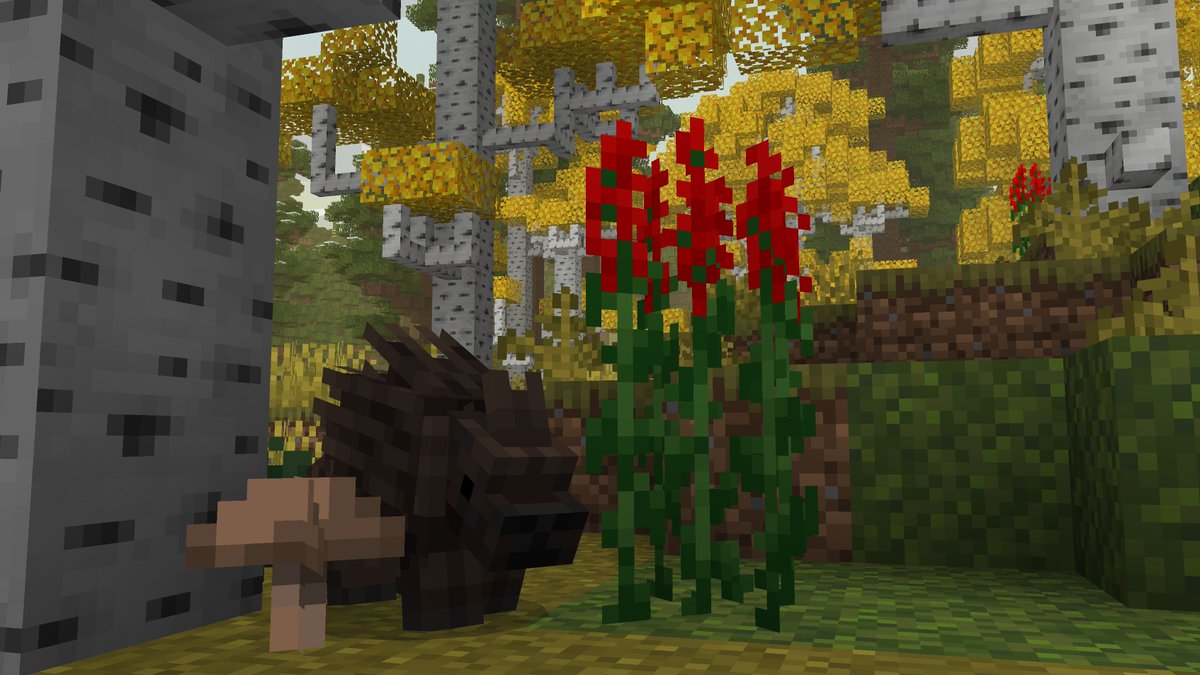 CompyCraft tweet media