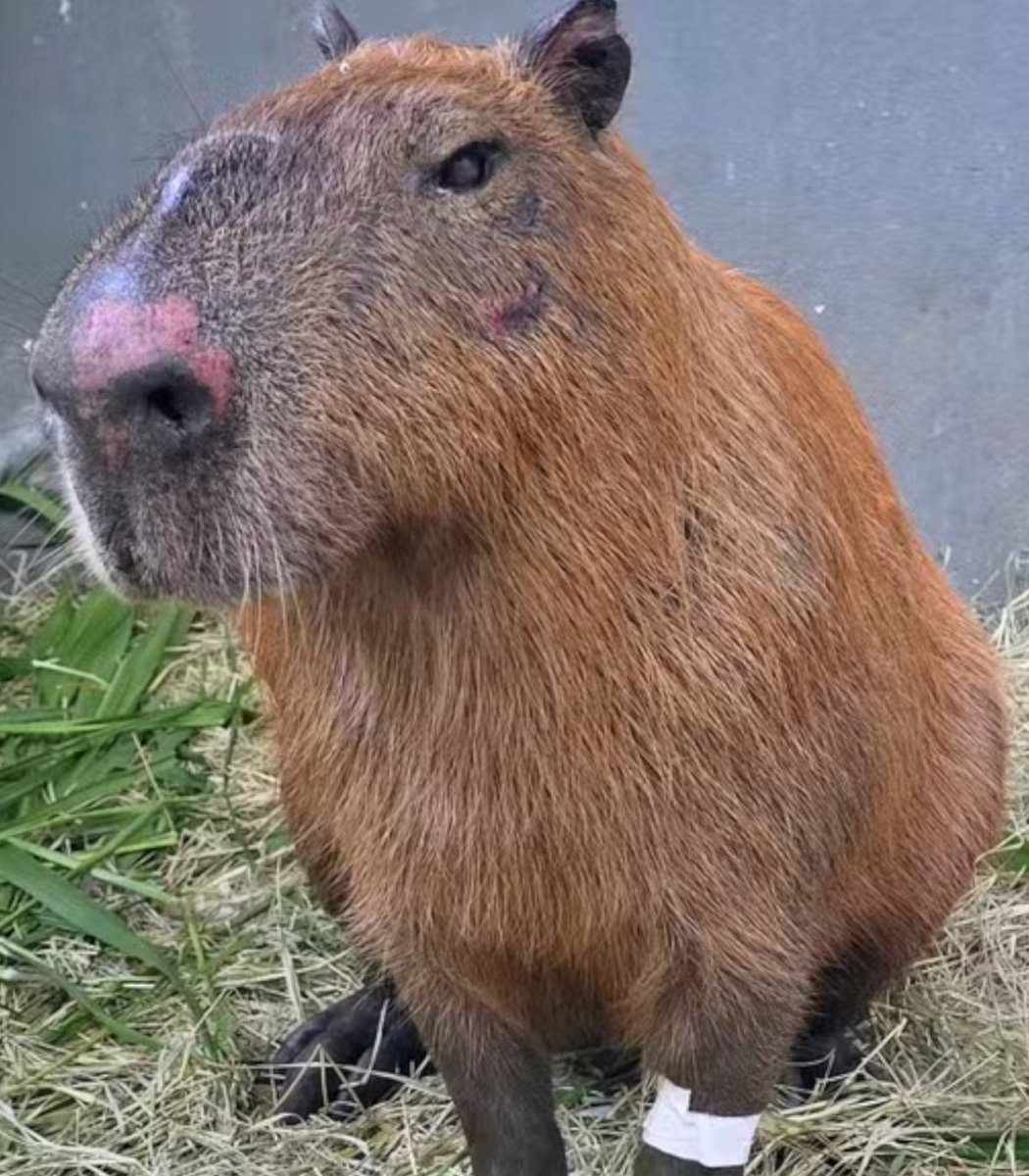 Flawless 💎 tweet media