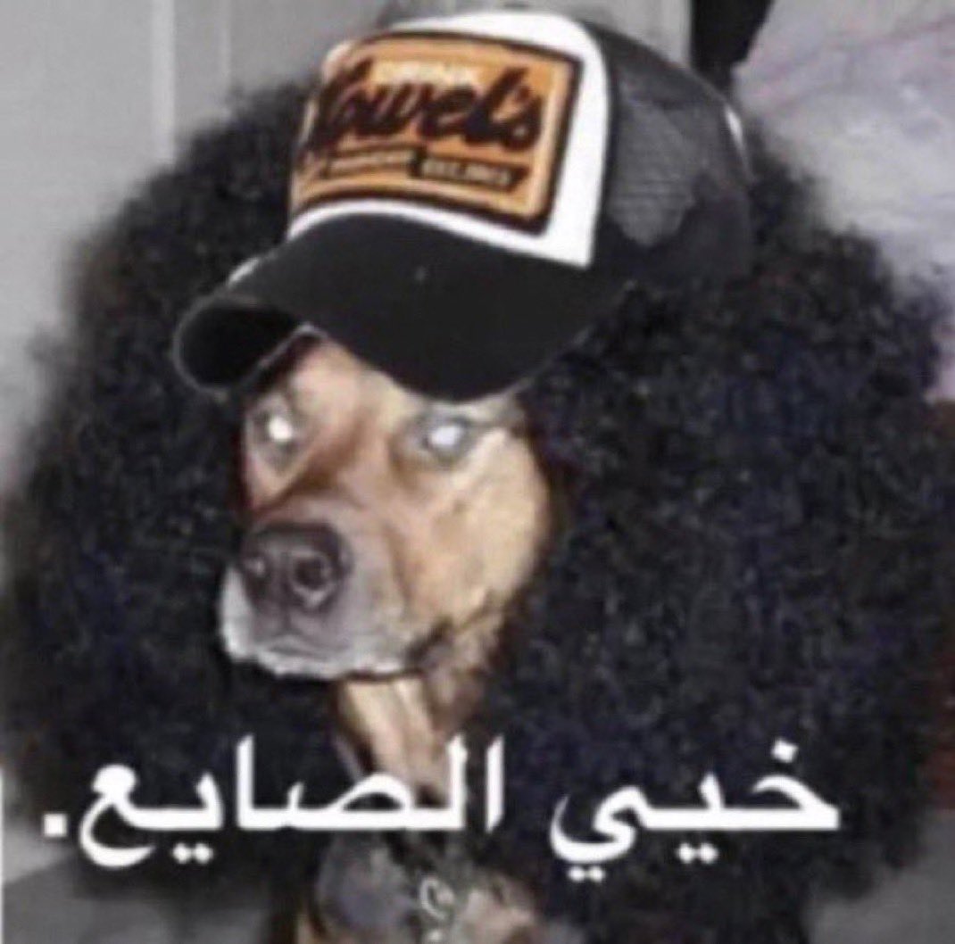 مطاط tweet media