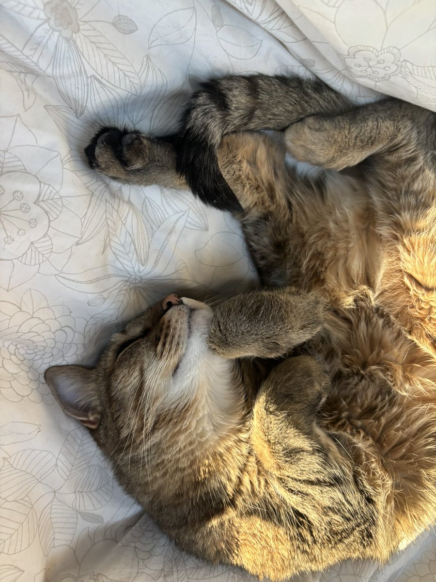 phreshgirlswag tweet media