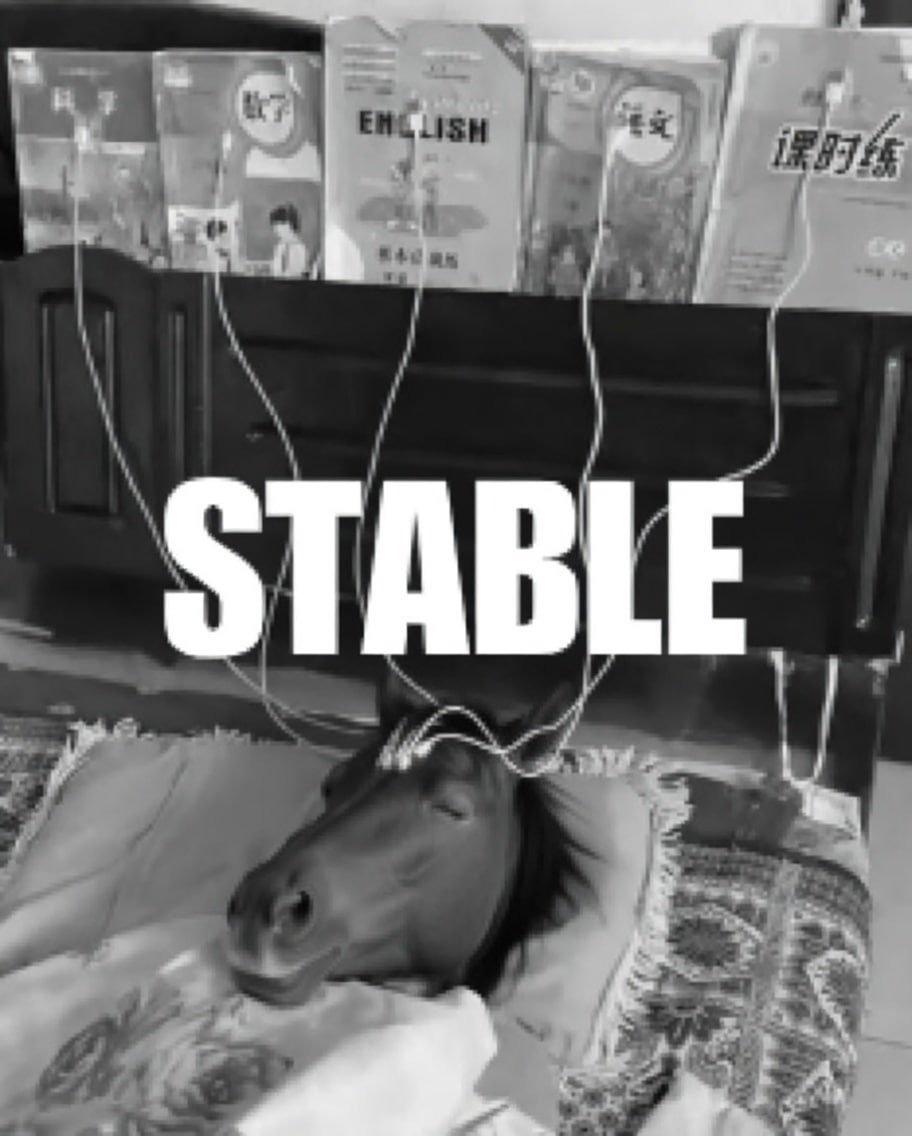 StablecoinCTO tweet media