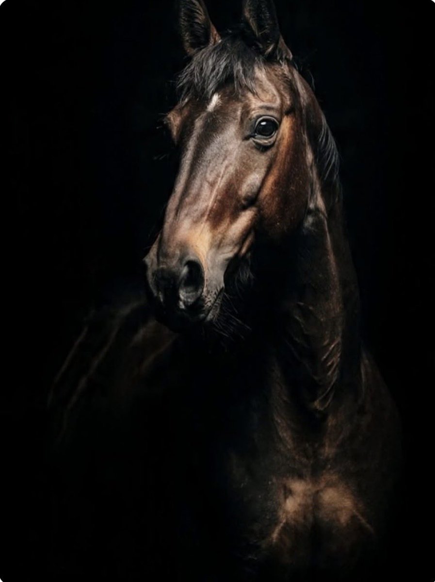 Dr. Sami Al- Naim tweet media