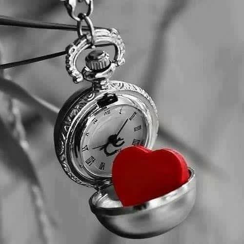 صمت الحروف tweet media