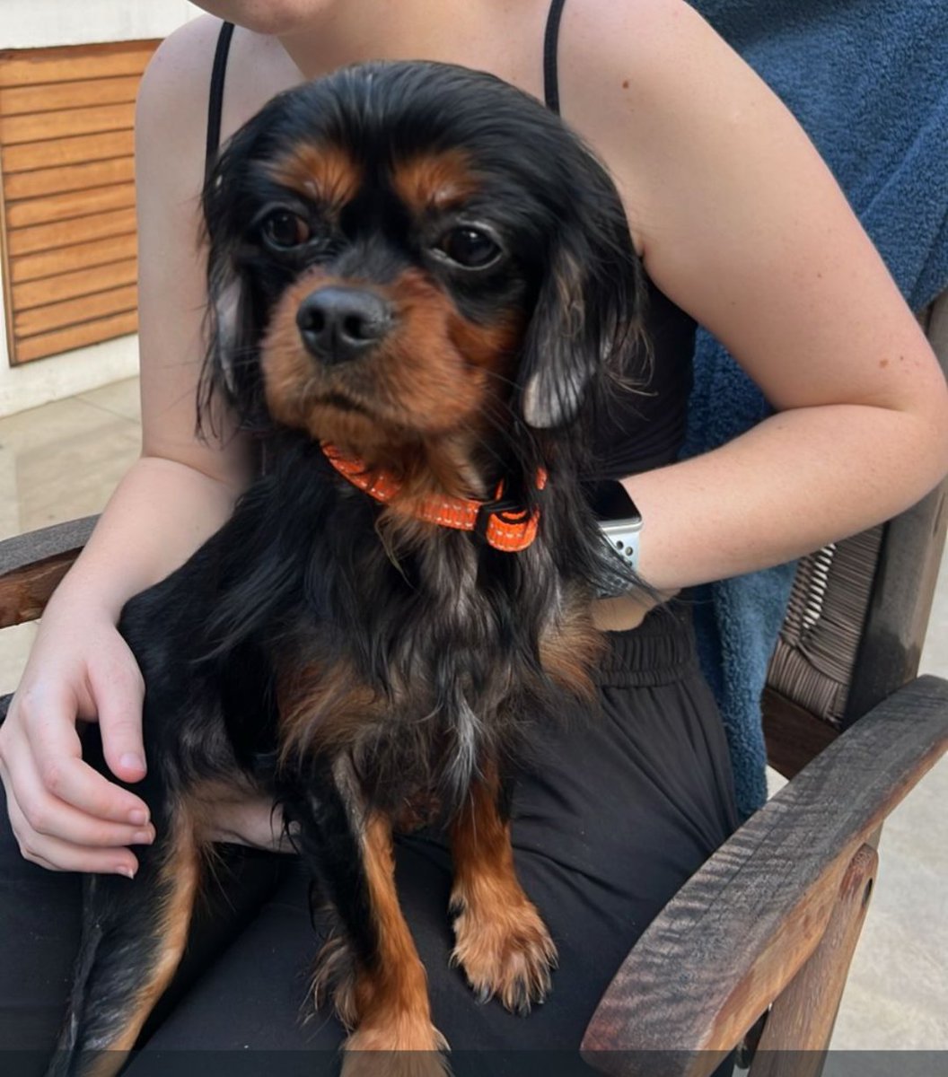 Claire Hopkin 🏴󠁧󠁢󠁷󠁬󠁳󠁿 tweet media