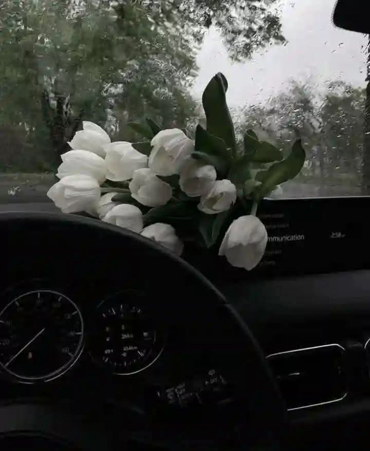 میں ہمیشہ بدترین ہو سکتا ہوں
لیکن میرے پاس ایک دل ہے
جو جان بوجھ کر دوسروں کو تکلیف دینے سے انکار کرتا ہے۔
جبکہ اس دل کیوجہ سے
میں اور میرے دماغ دونوں ہی کرش ہونے کے قریب ہیں
#اردو_زبان