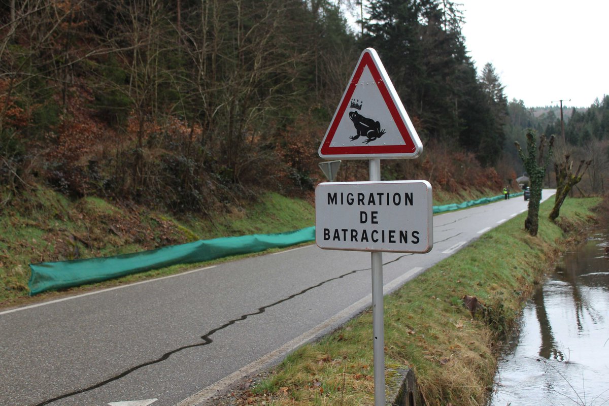 L'Ami hebdo 57 tweet media