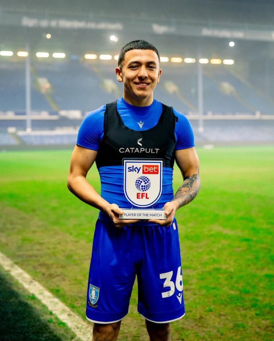 danhibbert tweet media