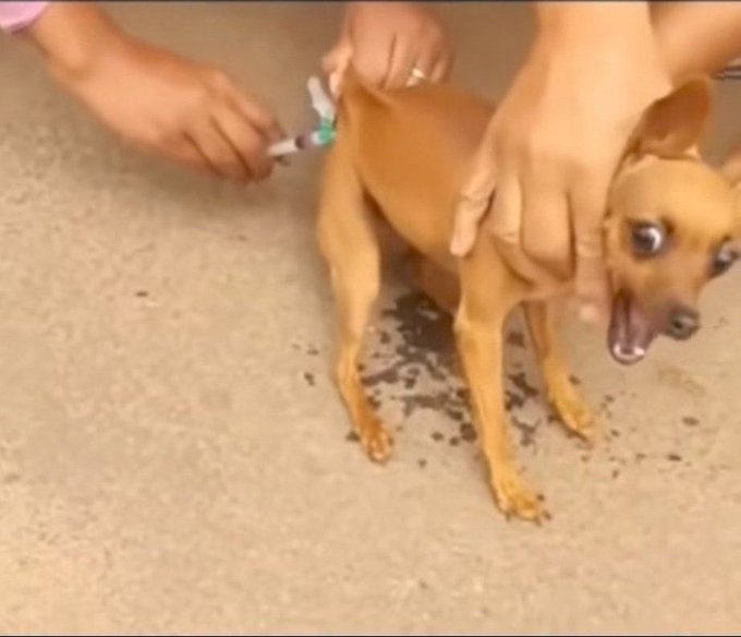 Ledmark Investments tweet media