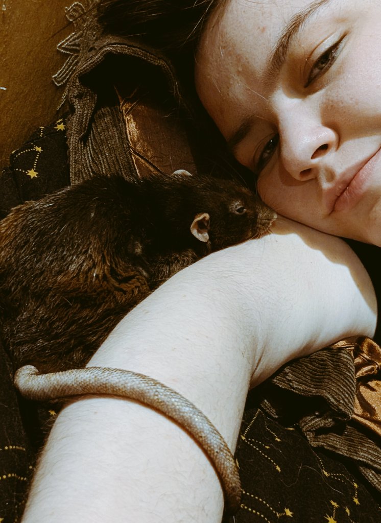 курс валюх tweet media