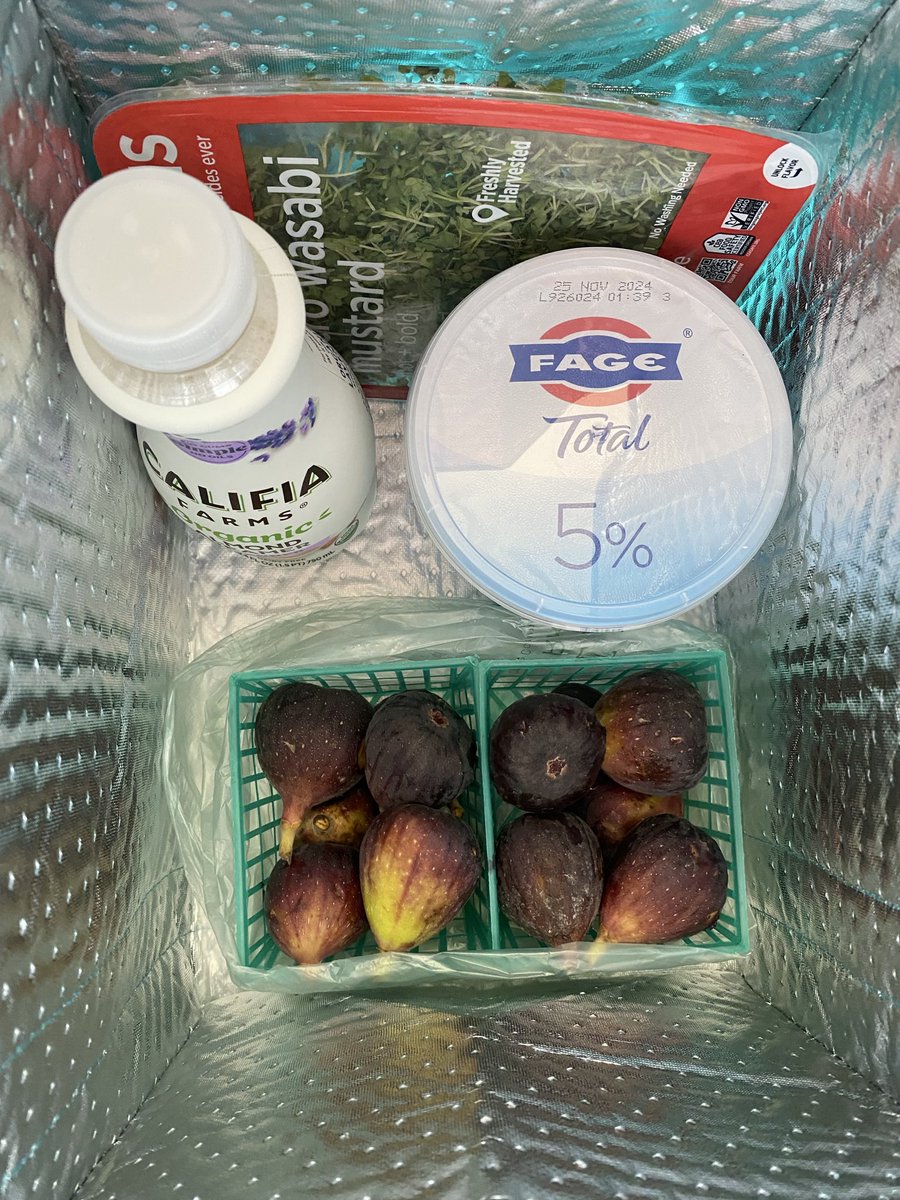 Lex 🪆 tweet media