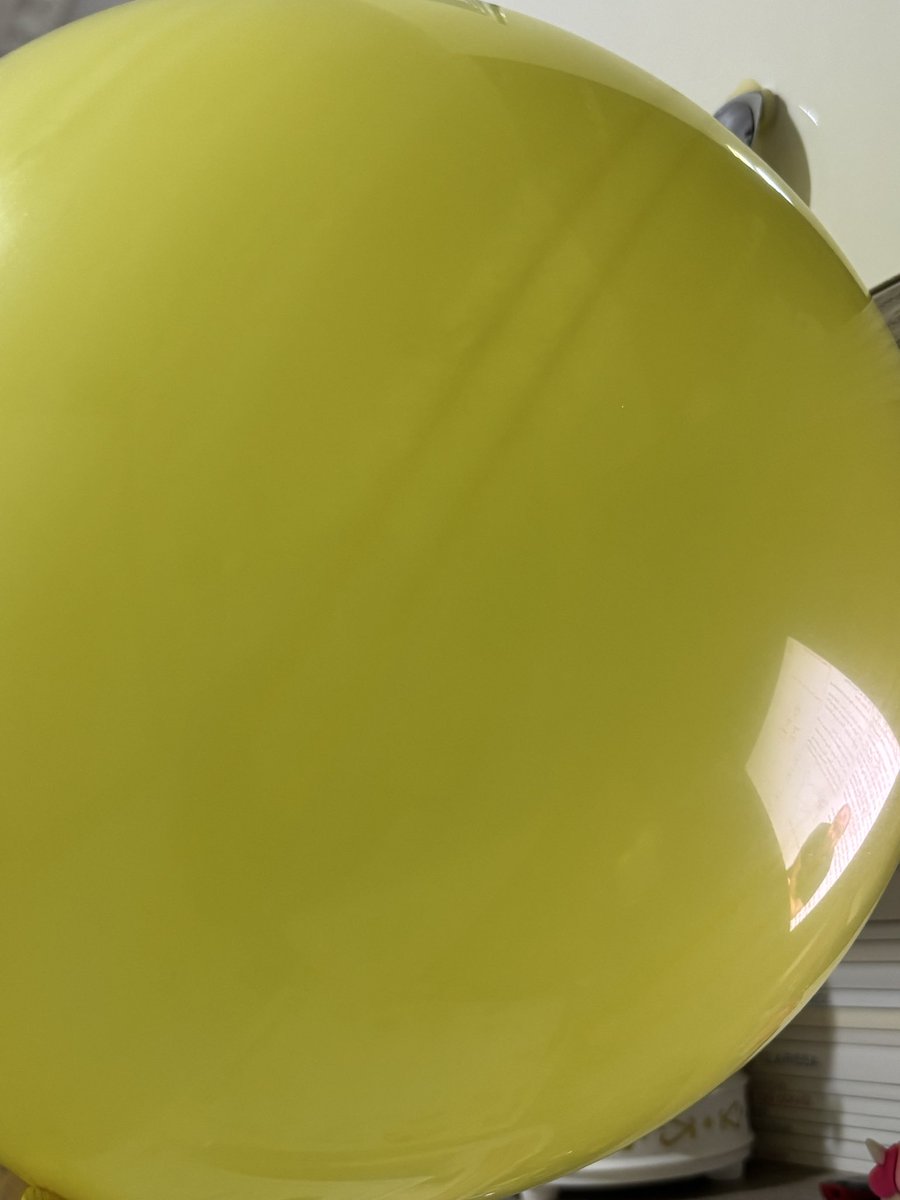 Sunshine 𐙚 tweet media