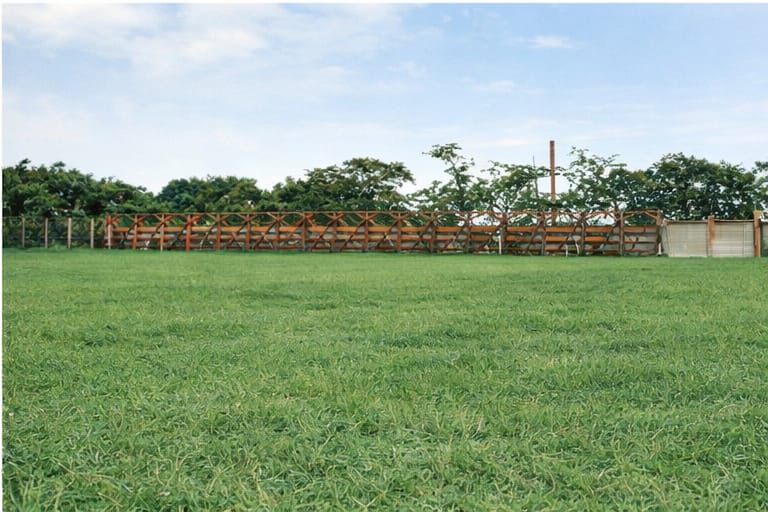 Dpto. Invest. Histórica, Estadísticas y Museo CASM tweet media