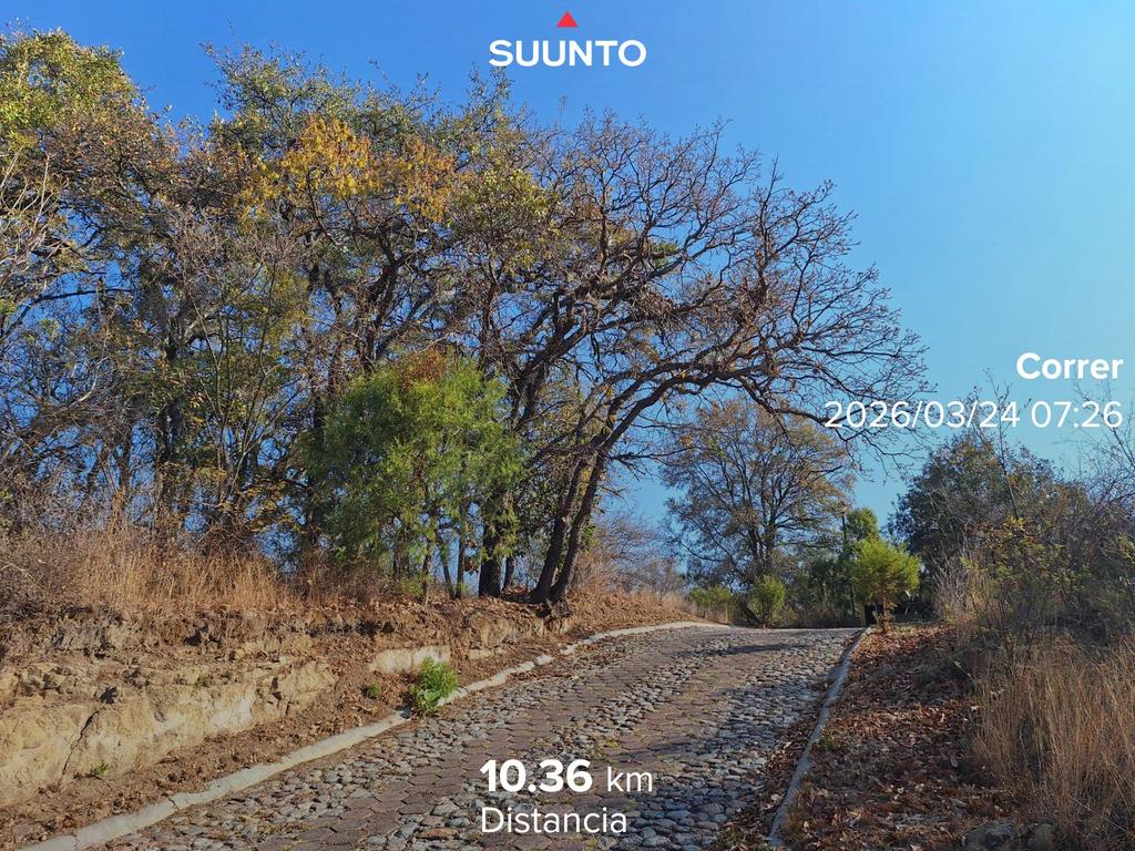 Gabrielle Valle tweet media