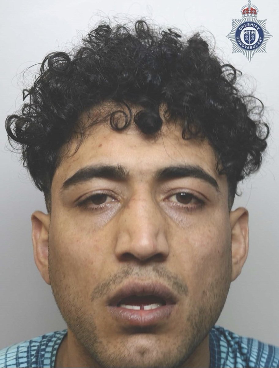 Isolated Incidents tweet media