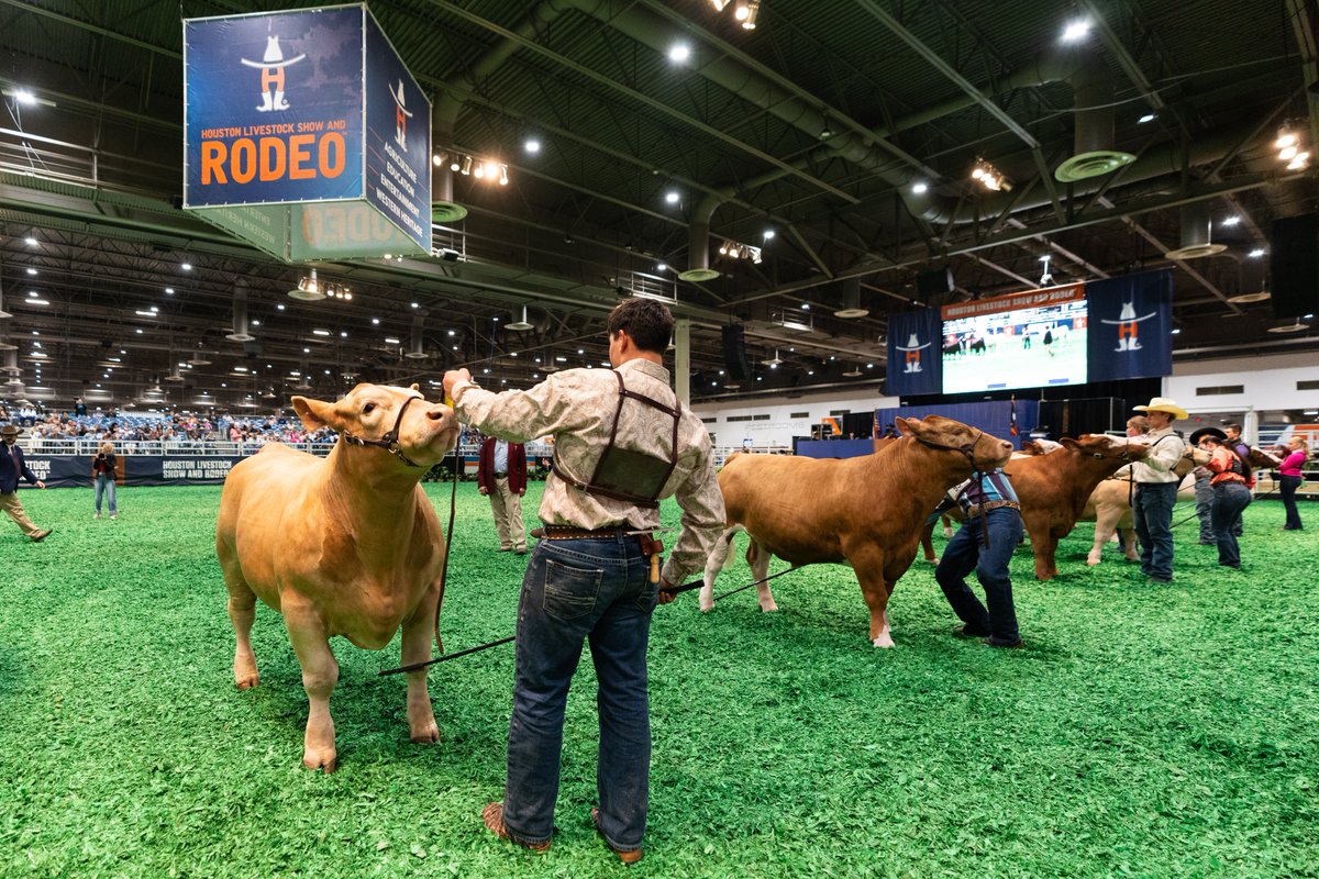 RODEOHOUSTON tweet media