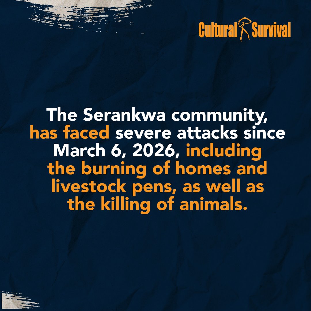 Cultural Survival tweet media