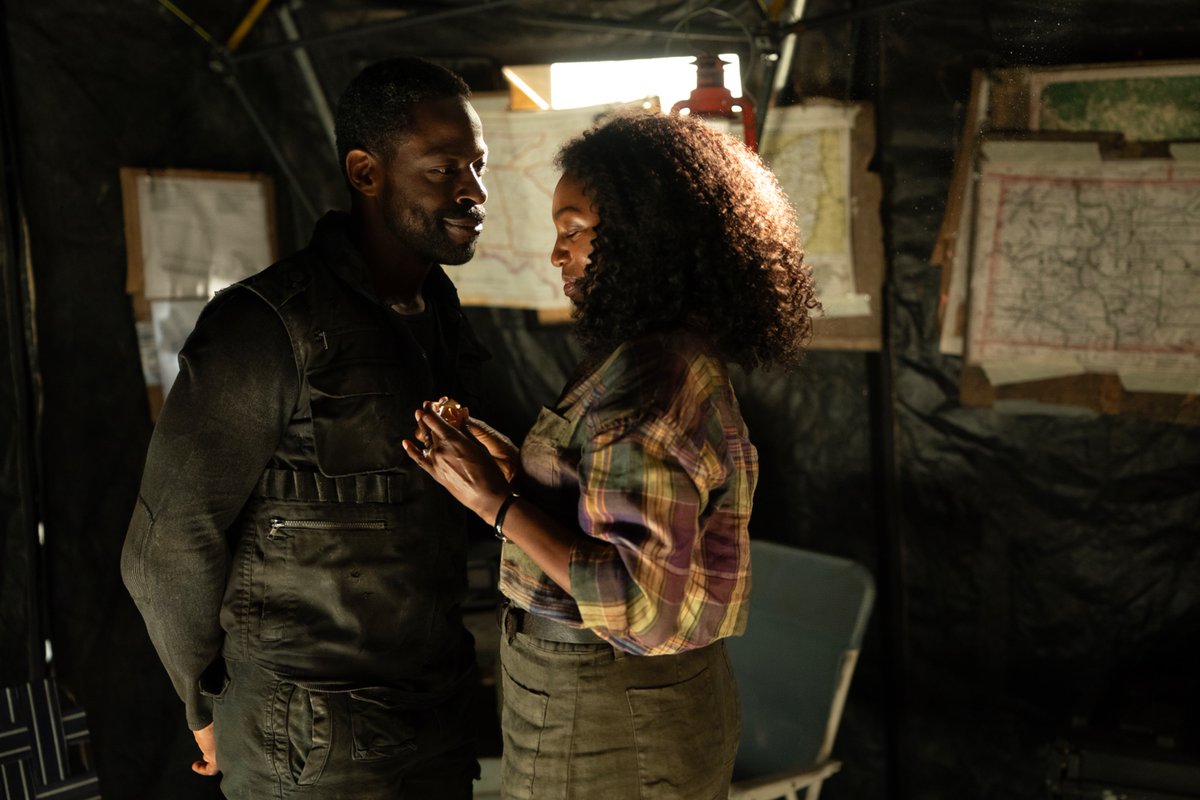 Paradise tweet media