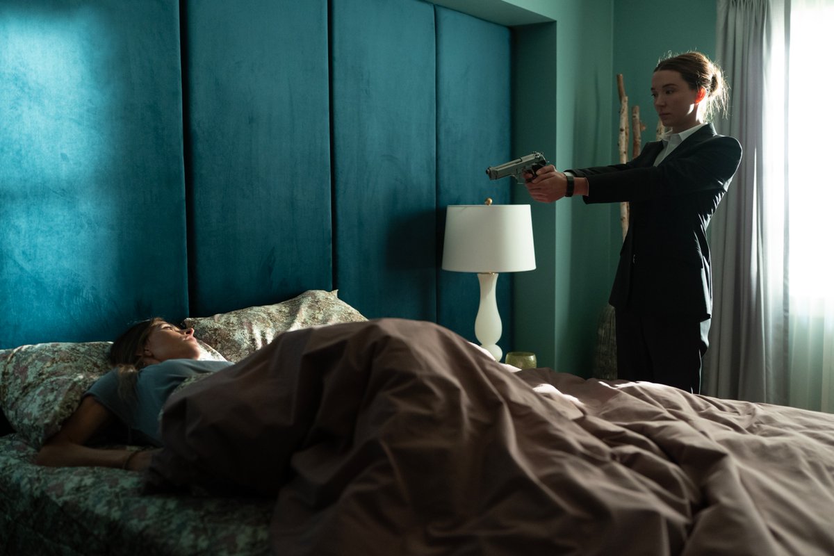 Paradise tweet media