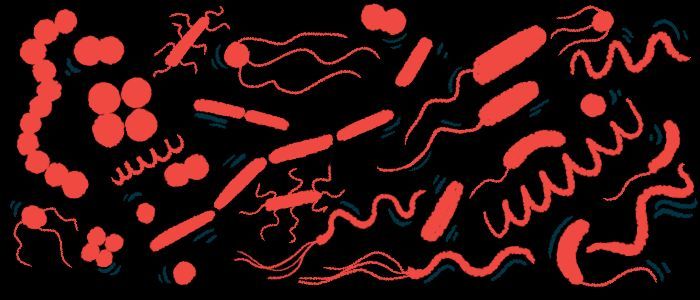 CFNewsToday's tweet image. People with CF-related diabetes show alterations in the lung microbiome, the community of microbes that live in the lungs, per a study. cysticfibrosisnewstoday.com/news/patients-… #cysticfibrosis #cfwarrior #curecf #cysticfibrosislife