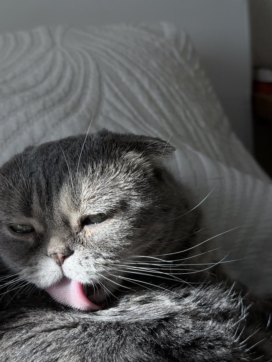 кровьтополей tweet media