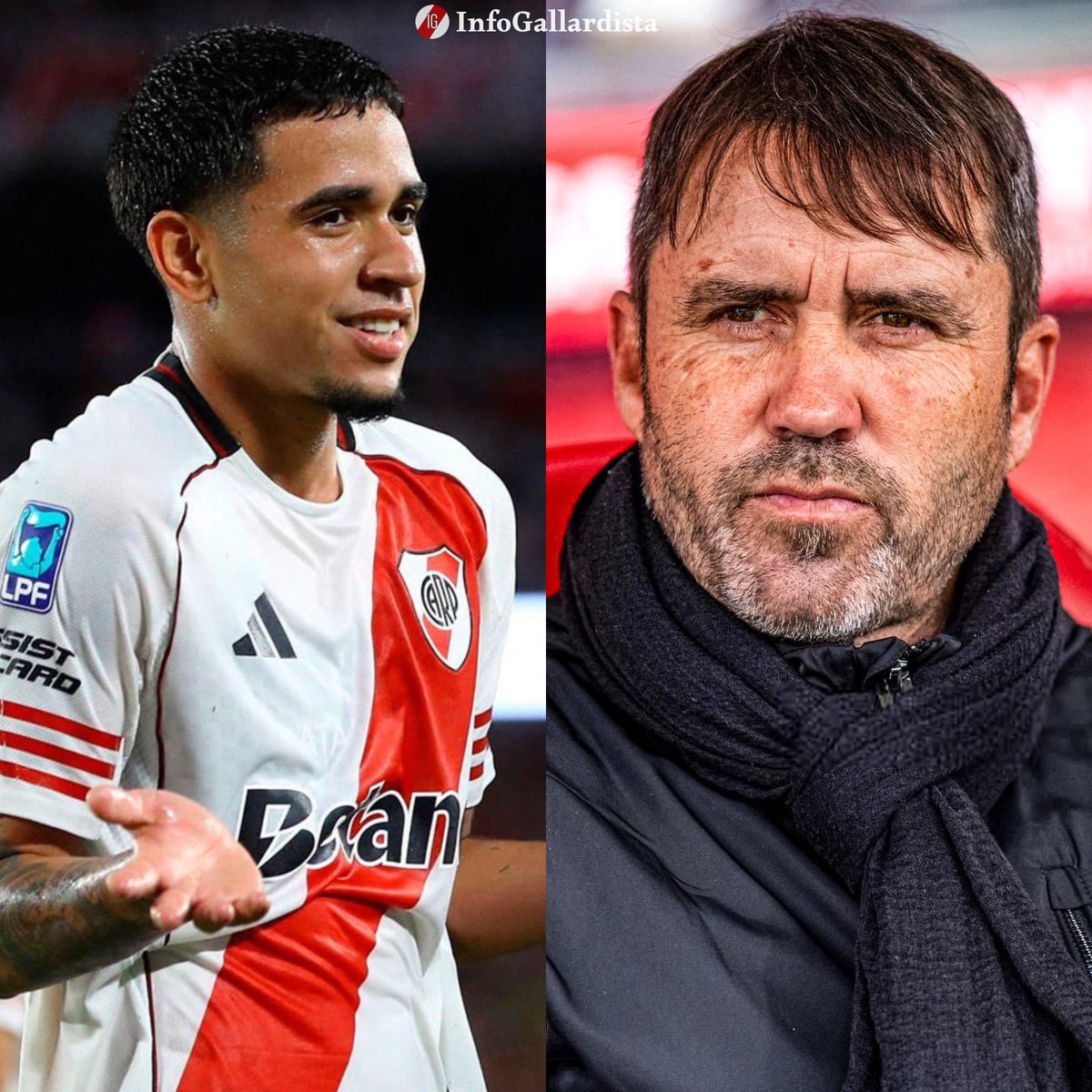 Info Gallardista tweet media