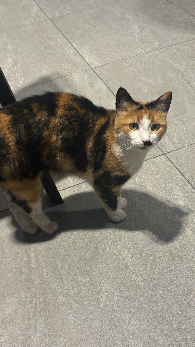 biyiginin diger yarisini aldirmaya parasi yetmemis