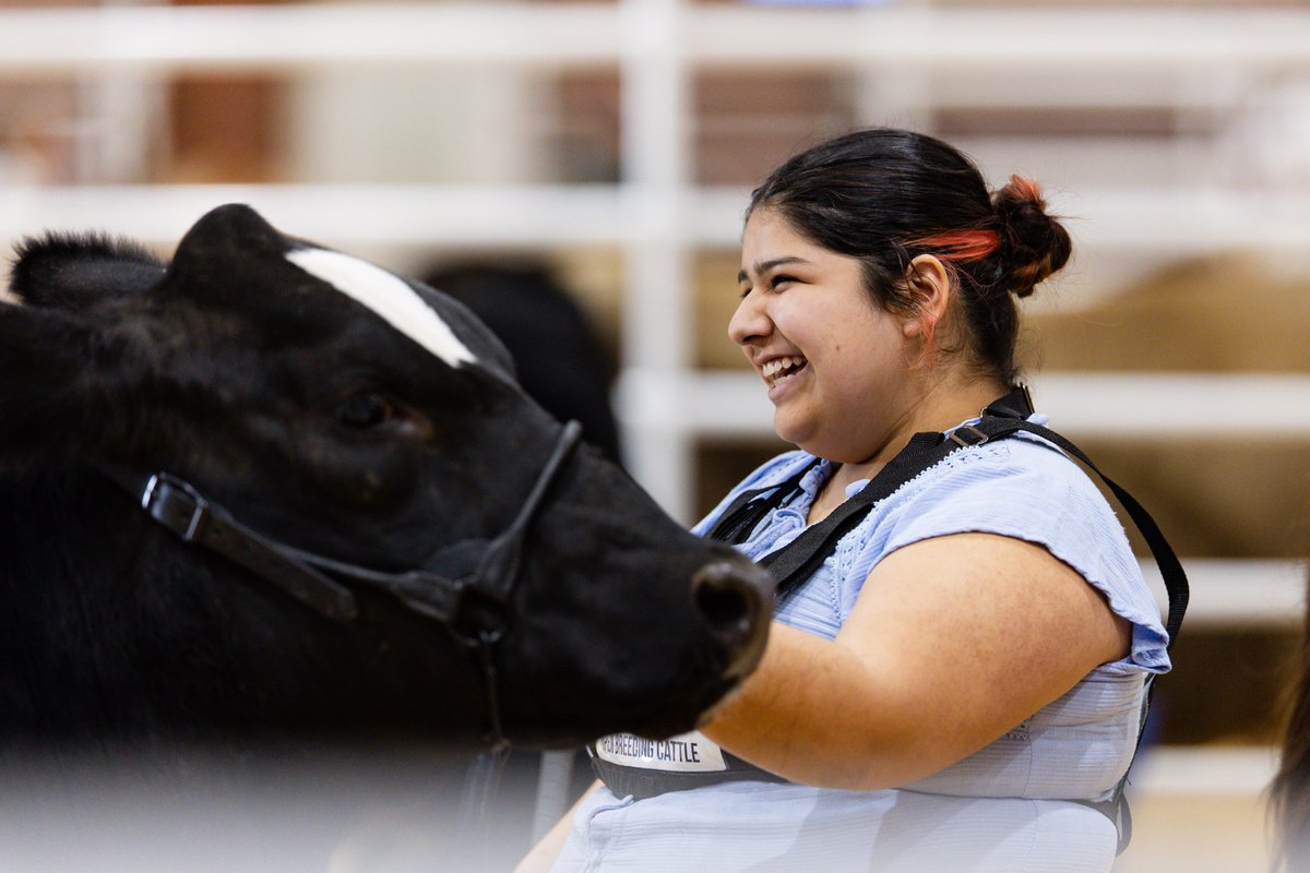RODEOHOUSTON tweet media