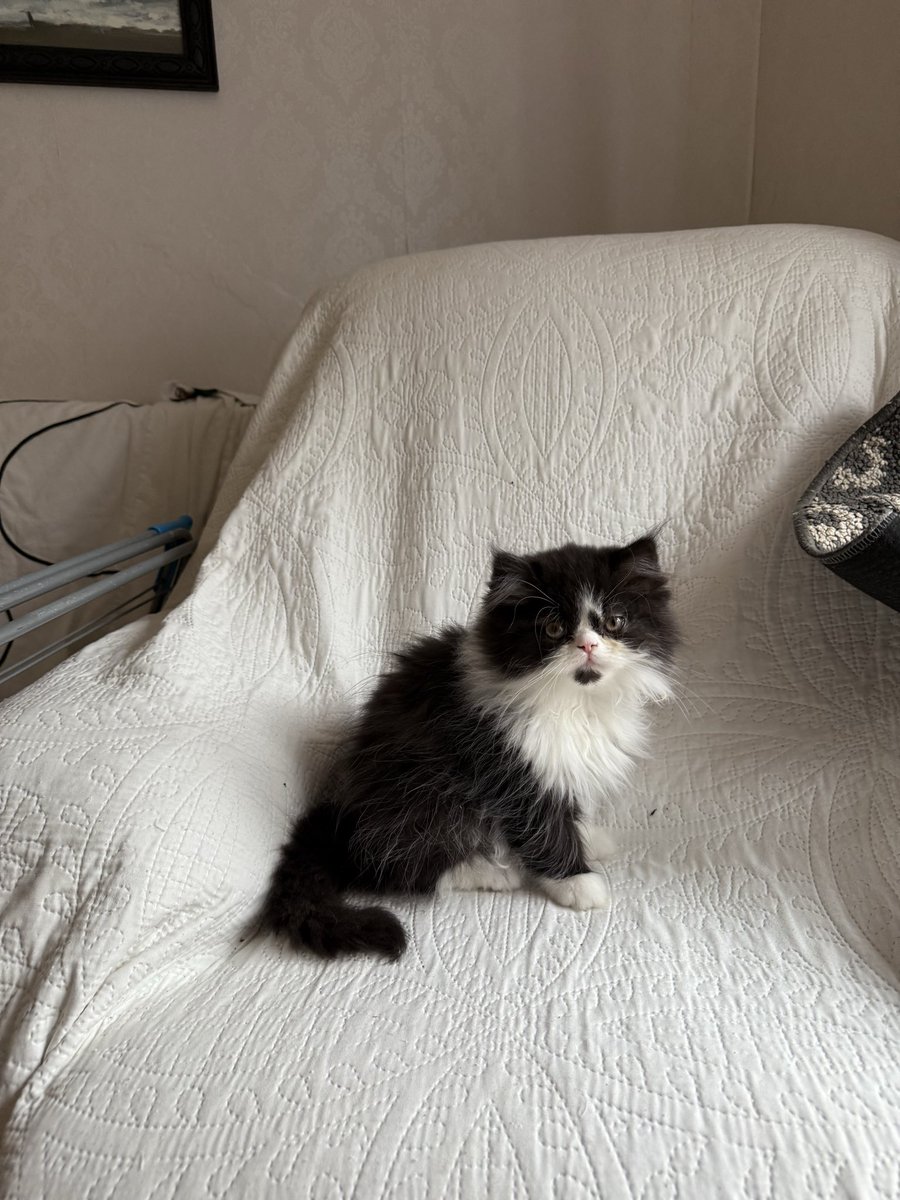 Sarah Evans tweet media