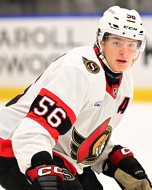 ONLY SENATORS tweet media