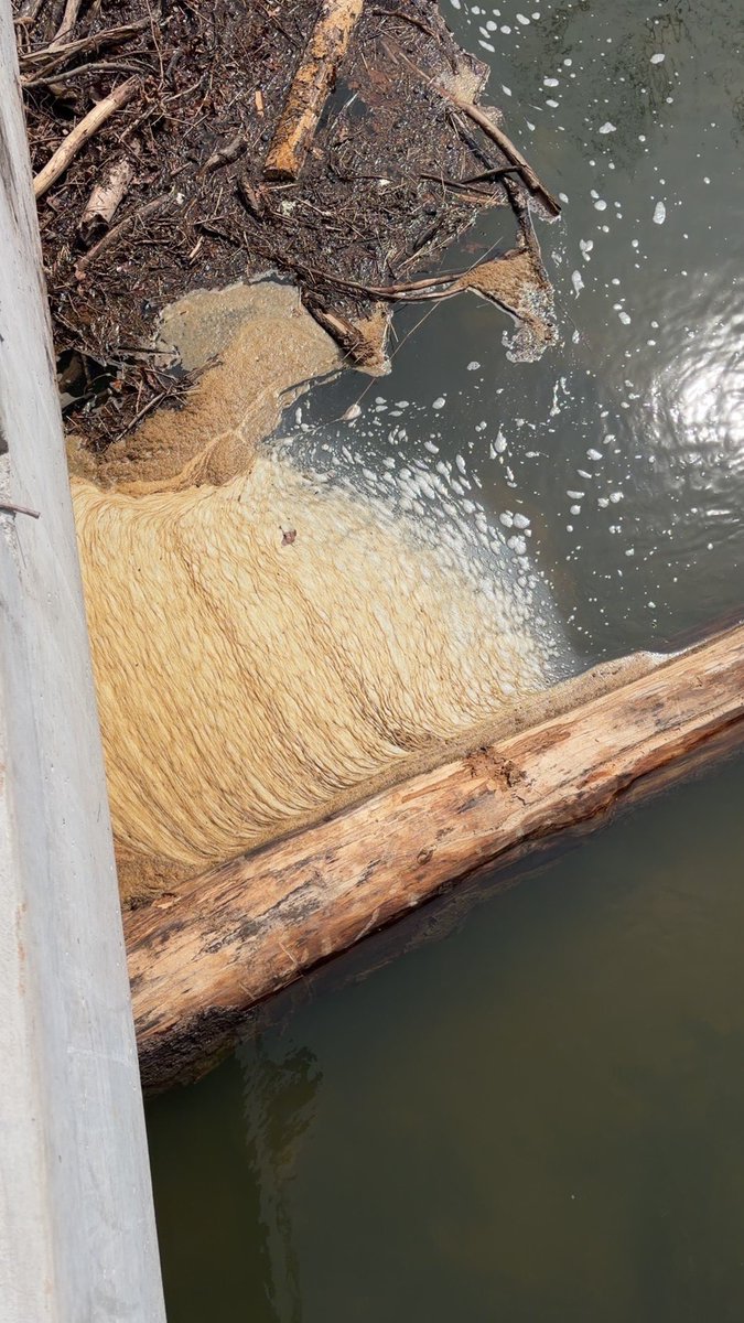 Blaise Genetics tweet media