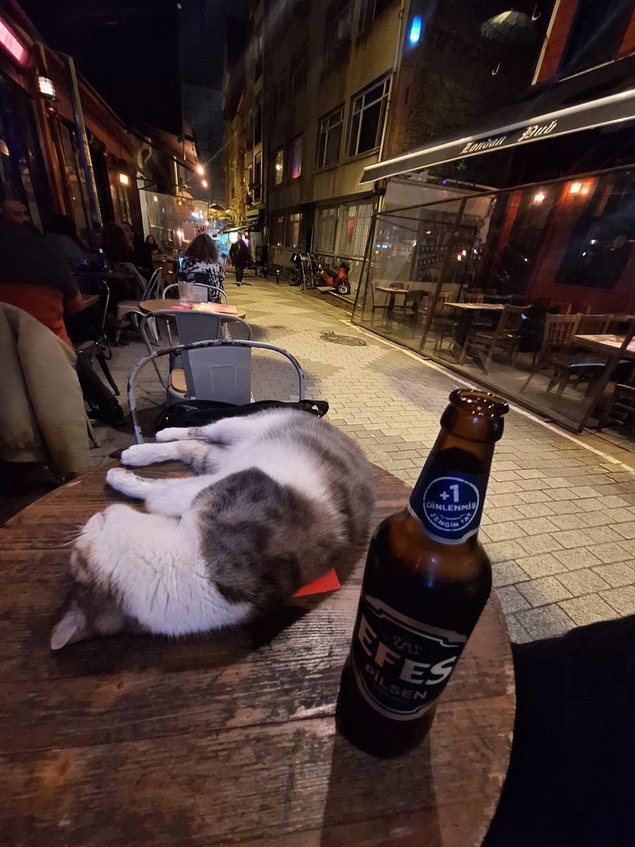 berdinand fardamu tweet media