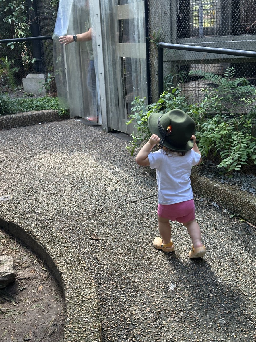 Chris Thomas tweet media