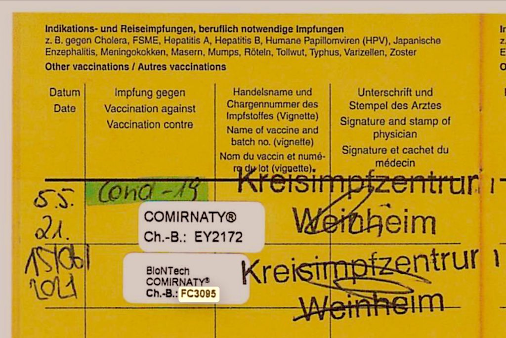 FrauHodl tweet media