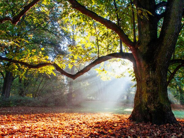Visages de France tweet media