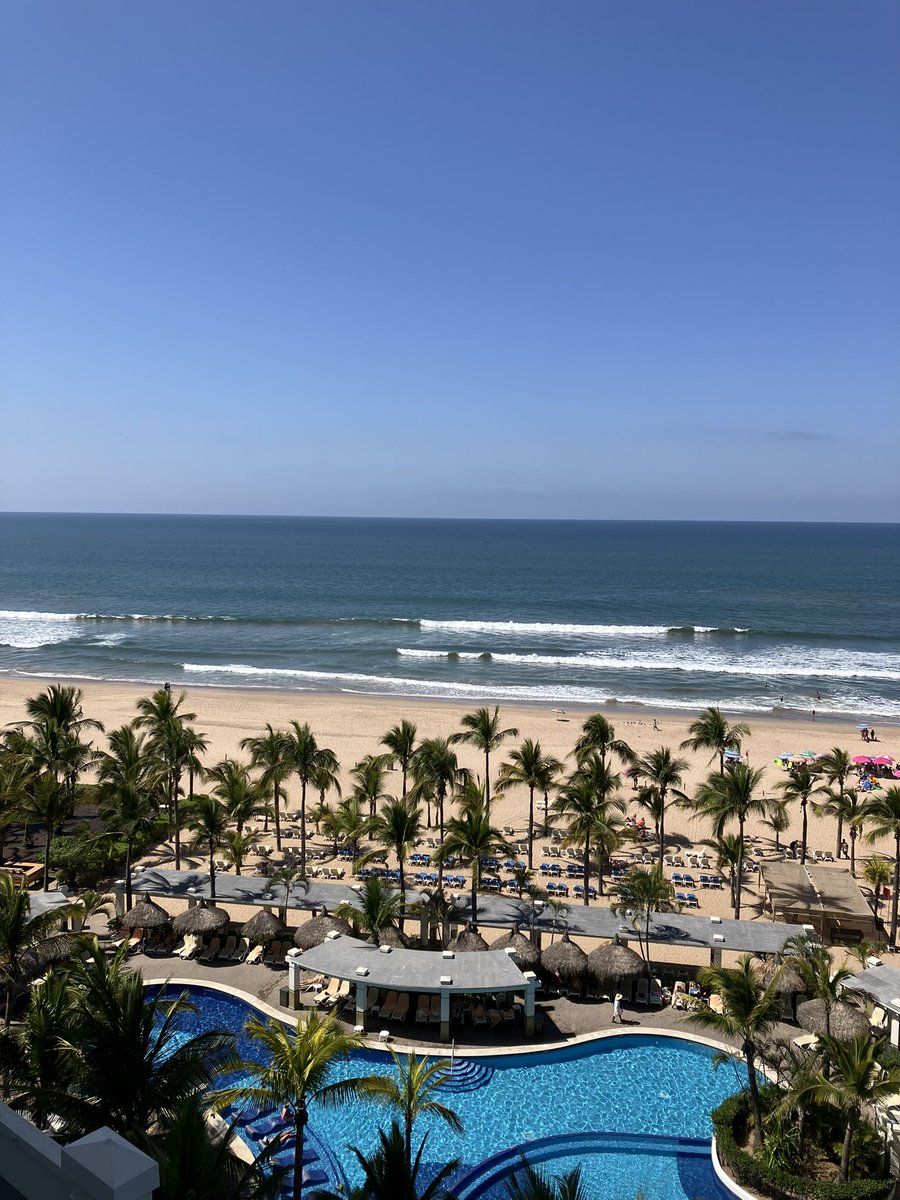 Armchair anthropologist 🇨🇦 🇲🇩 tweet media