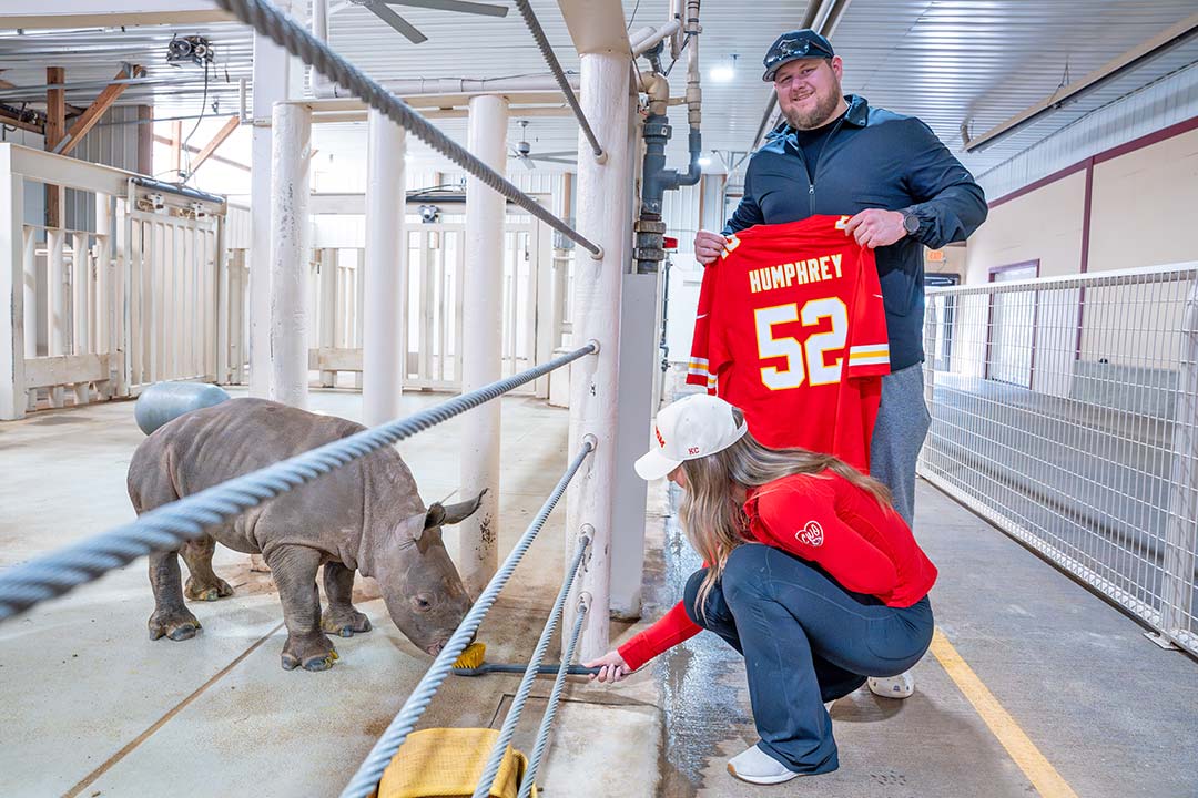 RollingHillsZoo tweet media