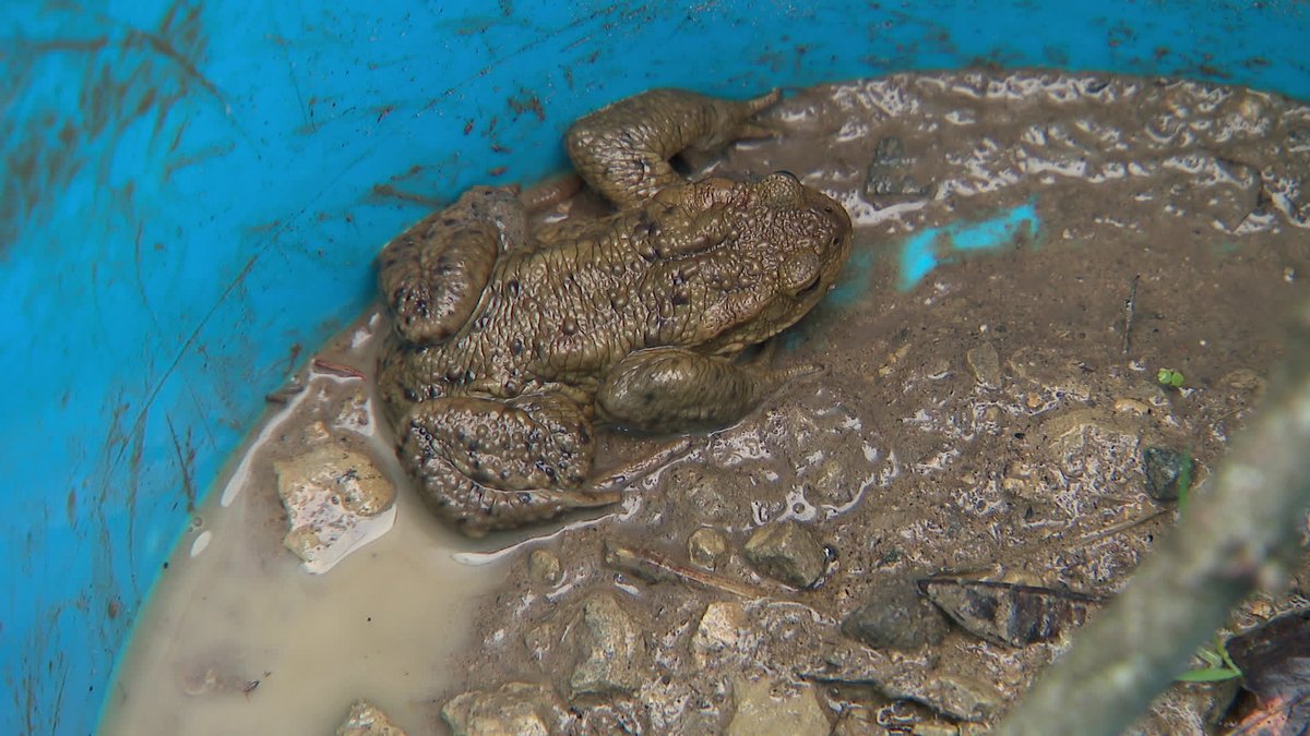 France 3 Alsace tweet media