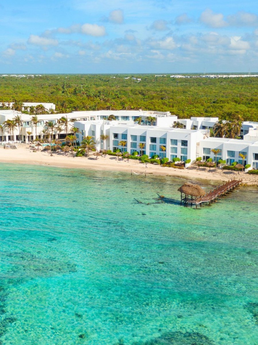 Oasis Hotels tweet media