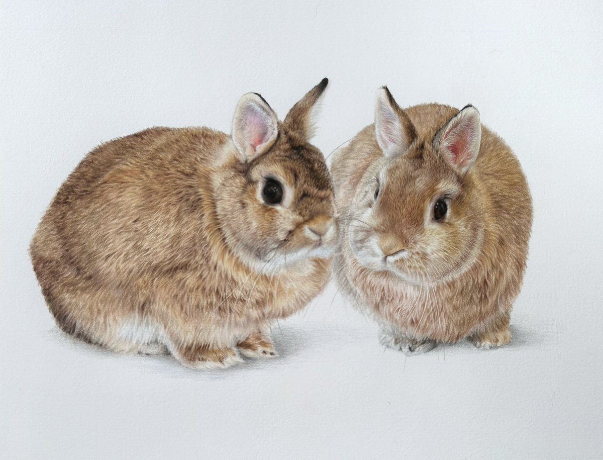 Anna Hamilton Art tweet media