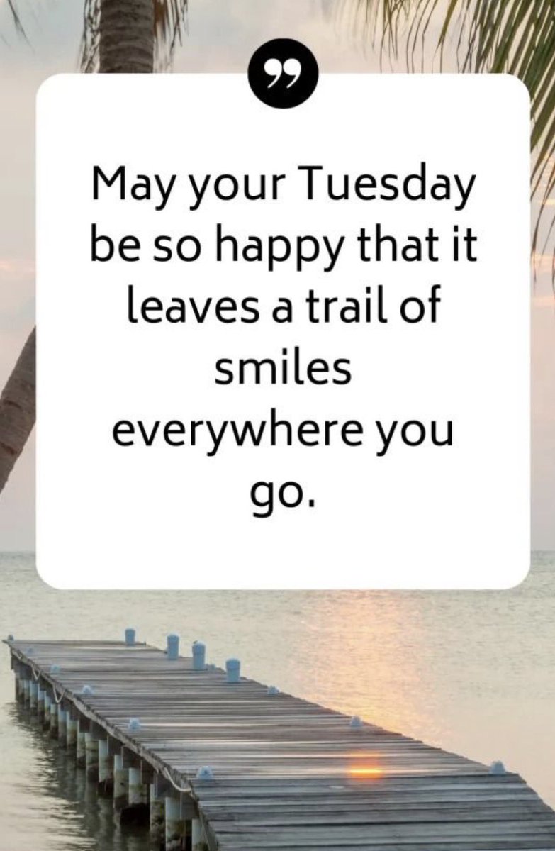 nsbeachbum tweet media