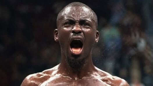 MMA PROPAGANDE 👊🇫🇷 tweet media